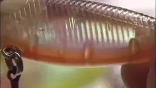Rapala\Storm Hot N Tot Lure