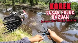 Casting Haruan !! SPINNER BAIT Umpan Mantap  @JamriFishing