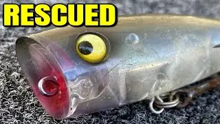 What Happens When You Use The MOST Expensive Popper for Bass Fishing