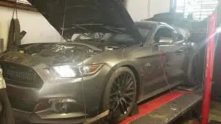 2015 Mustang GT Dss shortblock hellion twin turbo  kit!