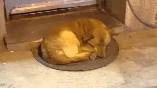 Qenet n'Promje ne Peje me 28 Mars, 2016