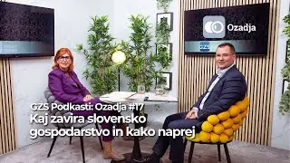 Kaj zavira slovensko gospodarstvo - in kako naprej &mdash; GZS Podkasti: Ozadja #17