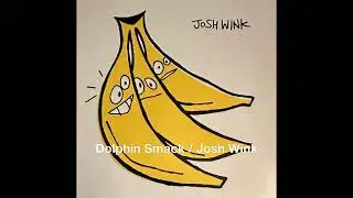 Dolphin Smack / Josh Wink #techhouse #joshwink #houseclassics
