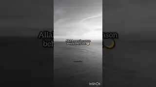 Every Tear Has a Meaning 🌙 | A Heart-Touching Islamic Reminder 😔 #islamicreminder #peace