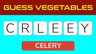 Can You Unscramble These Words? Try the Word Scramble Quiz!