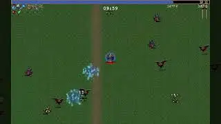[Vampire Survivors] MAKE NUMBER GO UP!!!