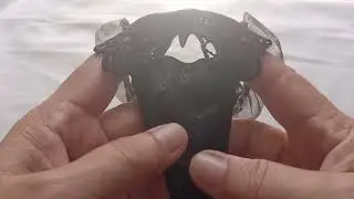 Sexy G-string paru-paro style Leopard lingerie Bikini Thong Panty Haul and Review from TEMU #bikini 
