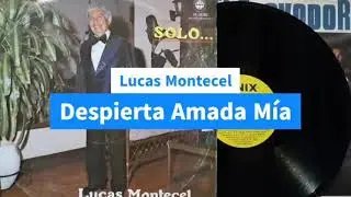 Lucas Montecel - Despierta Amada M&iacute;a