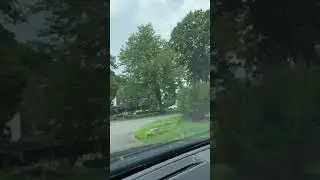 Manhasset. A Drive through Plandome Manor