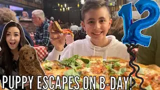 Puppy Escapes Her Crate While Everyone is Out Celebrating Ty's Birthday! | HAPPY BIRTHDAY TY!!