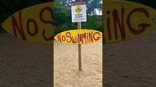 NO Swimming ⚠️ rip current DANGER! 🚫 #scary #rip #current #phobia #ocean #waves #bigwave #swimming
