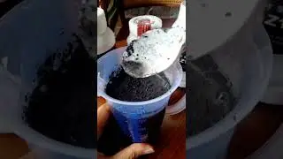 Pupuk Dasshu Jepang Z1000