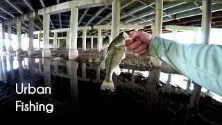 Fishing during a lockdown - McFly Angler Episode 79