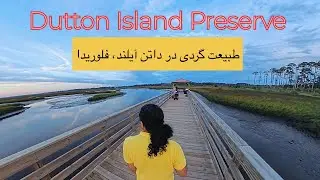 آرامش خالص در Dutton Island | قدم&zwnj;زدن در طبیعت بکر جکسونویل فلوریدا