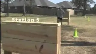 2011AgilityTest.wmv