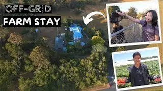TASMANIA Things to Do! Farm Stay near Cradle Mountain + Berries Picking 🍓