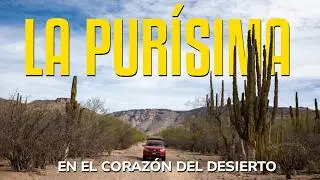 Este Oasis Escondido Cambi&oacute; mi Forma de Ver el Desierto