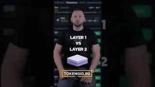 Layer 1 и Layer 2 в крипте - что это, разница, примеры и зачем они нужны. L1 и L2 простыми словами