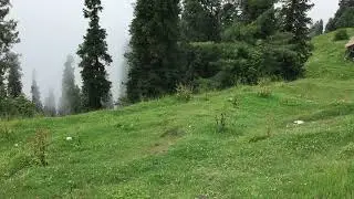 Thandiani Murree June weather Seems like this