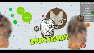 EPIC GAMEPLAY AGAR.IO!! | Agario OMG Top 1