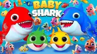 Baby Shark Dance Doo Doo | Baby Shark Remix | Animal Songs for Kids | Baby Shark Kids #nurseryrhymes