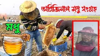 মৌমাছির মাধ্যমে সরিষা ফুল থেকে প্রাকৃতিক ভাবে ভেজাল মুক্ত হাতের স্পর্শ ছাড়া মধু সংগ্রহ | মধু 🐝