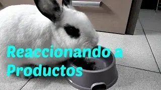 Reacción productos Lapraderaonline  |Mundoconejil