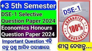 +3 5th Semester Economics Honours Selective Question Paper 2024 | 5th Semester Dse 1 Economics pyq