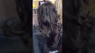 #hair #haircut