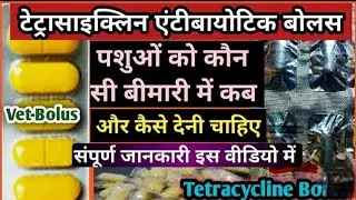Tetracycline Antibiotic Bolus Uses in Animals||टेट्रासाइक्लिन बोलस कब और कैसे कौन सी बीमारी में #vet
