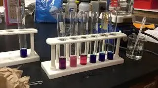 Qualitative Equilibrium with Cobalt Chloride Hexahydrate