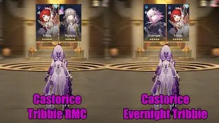 How Much Does Evernight & Tribbie Vs Tribbie & RMC Buff Castorice? || HSR