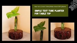 Simple test tube planter for tabletop✨Amazing vases made of test tubes and wood✨DIY Test Tube Vase