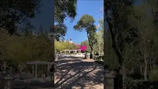PARQUE LIRA / CIUDAD DE M&Eacute;XICO #cdmx #mexico #parque