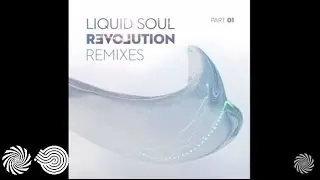 Liquid Soul - Precious (Krama Remix)