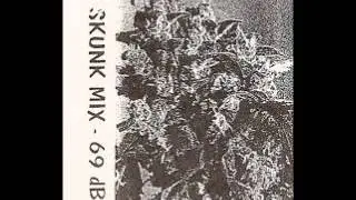 Spiral Tribe - 69db - Skunk Mix 1997 (Side A & B)