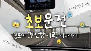 초보운전 브이로그 | 고소공포증 유발하는 부산항대교  살아남을수 있을까? | 오빠 여기로 안 간다매!!! ft. ev6