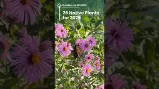 26 Native Plants for 2026 🌻