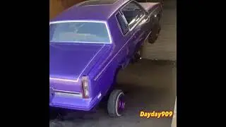 Lowriders Hopping: Bossin Up test hop