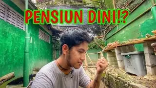 TERNAK IGUANA SUDAH TIDAK MENJAJIKAN!