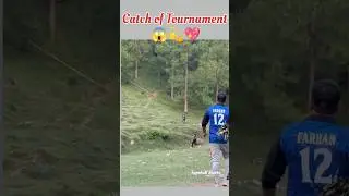 Catch of the Tournament 💫💖 ! Tape Ball Cricket ! #tapeballcricket #cricket #shortsfeed #shorts