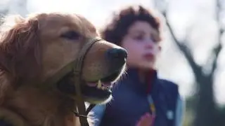 For The Love Of Dog