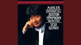 Mahler: Symphony No. 1 in D Major: II. Kräftig bewegt, doch nicht zu schnell