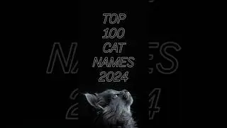 TOP 100 CAT NAMES OF 2024 100 - 95 #cats #catnames #top100 #catnames2024 #cat #lists #shorts