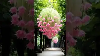 my first vlog in garden ##shorts #garden ##blog