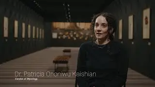 Meet NYSM Curator of Mycology, Dr. Patricia Kaishian
