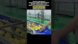 Automatic Potato French Fries Production Line