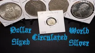Circulated World Silver