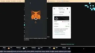 Linea Voyage   The Surge LXP L ile ilgili Stake işlemi ve Yeni Gelişmeler