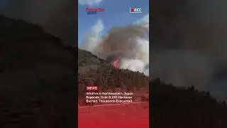 Japan Wild Fire in Ofunato | Samachar forum